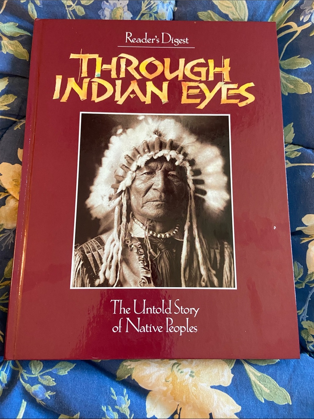 Through Indian Eyes